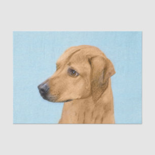Papel De Seda Pintura Ridgeback Rhodesiana - Arte Perro Original