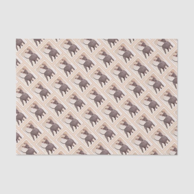 Papel De Seda Pintura Xoloitzcuintli - Arte Perro Original Cuto (Anverso)