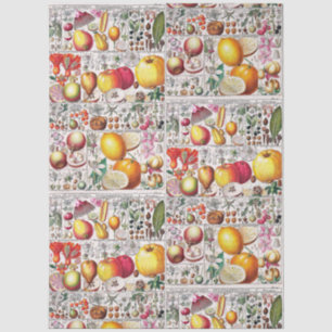Papel De Seda Placa de libro botánico de frutas florecidas vinta