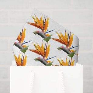Papel De Seda Planta Ave del Paraíso Naranja Patrón sobre Blanco