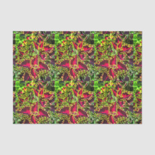 Papel De Seda Planta Coleus roja y verde