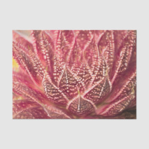Papel De Seda Planta de cactus suculento decoupage botánico rojo
