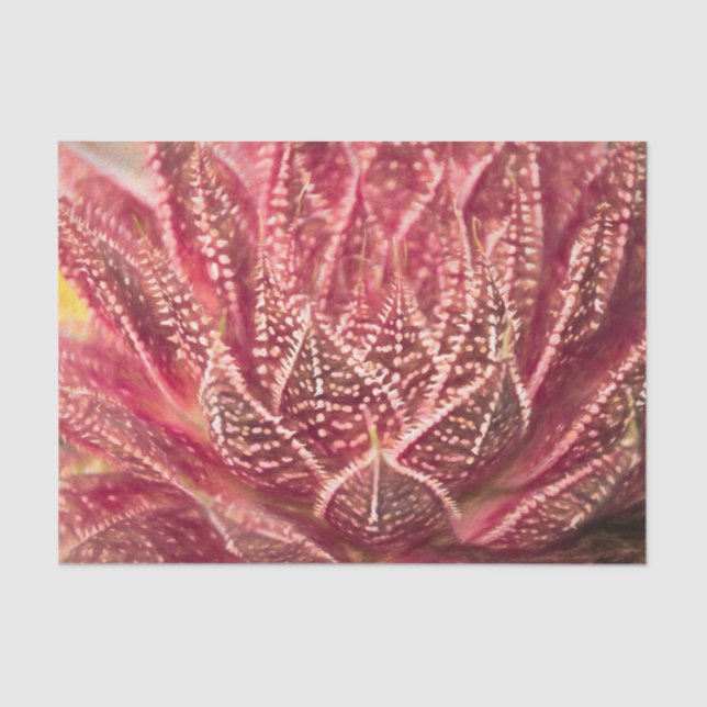 Papel De Seda Planta de cactus suculento decoupage botánico rojo (Anverso)