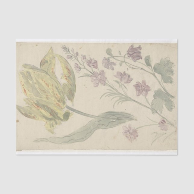 Papel De Seda Planta Studie Van Een Gele Tulp En Een Andere (Anverso)