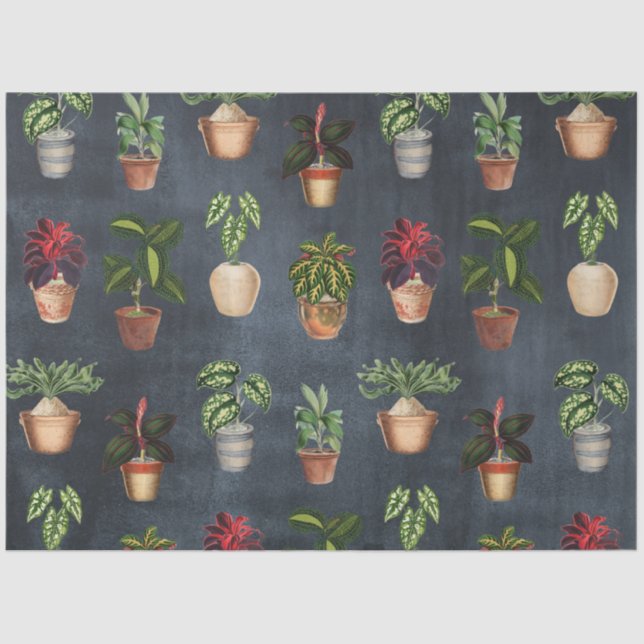Papel De Seda Plantas de acuarela Protegidas Terracotta Pots Rús (Anverso)
