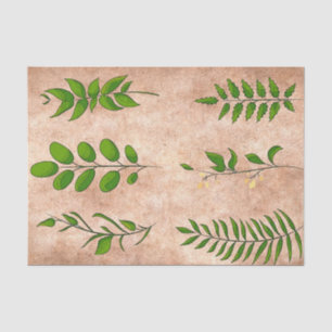Papel De Seda Plantas de follaje de hojas verdes descoloridas se