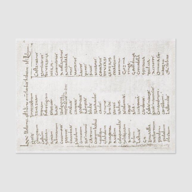 Papel De Seda Plantas de jardín del siglo XVIII (Anverso)