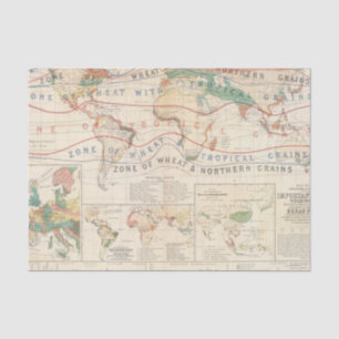 Papel De Seda Plantas de la distribución