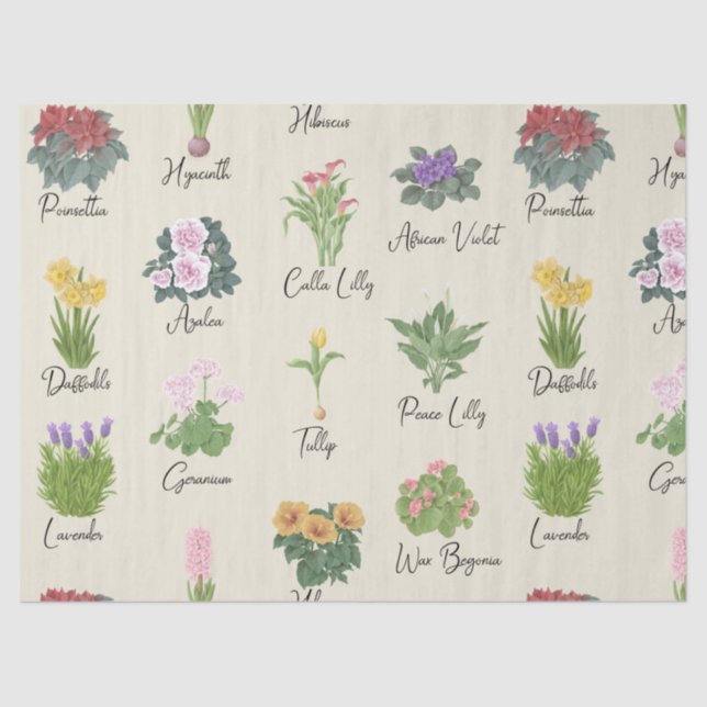 Papel De Seda Plantas domésticas y sus nombres - Mínimo moderno (Anverso)