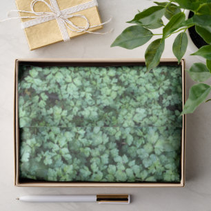 Papel De Seda Plantas verdes de primavera dejan un Hanami pacífi