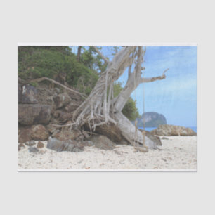 Papel De Seda Playa de arena tropical