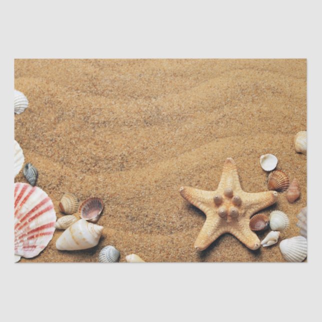 Papel De Seda Playa de Holiday Seashells (Anverso)