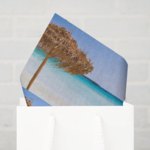 Papel De Seda Playa Tropical Escénica con Patrón de Sombrilla de