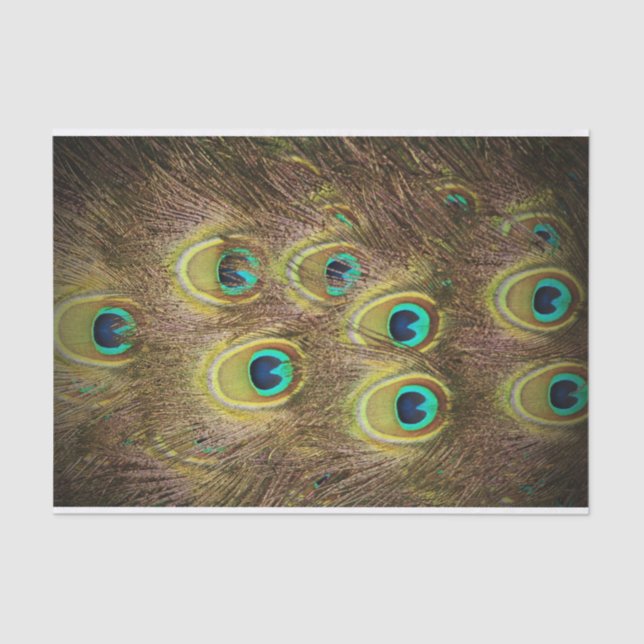 Papel De Seda Pluma del pavo real de Brown y del oro (Anverso)