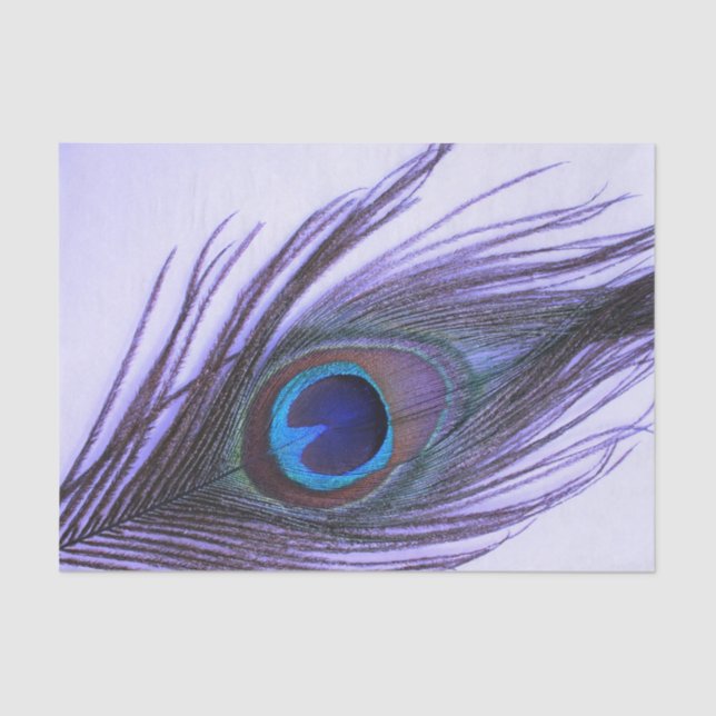 Papel De Seda Pluma púrpura del pavo real (Anverso)