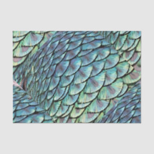 Papel De Seda Plumas de cola del pavo real