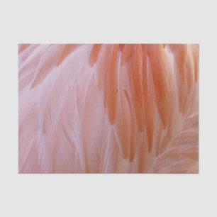 Papel De Seda Plumas de Flamenco en Tonos de Rosa