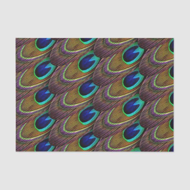 Papel De Seda Plumas de pavo azul y púrpura (Anverso)