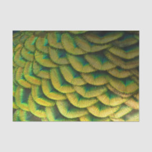 Papel De Seda Plumas de Pavo Real II Naturaleza Colorida