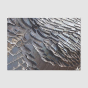 Papel De Seda Plumas de pavo silvestre II Diseño abstracto de la