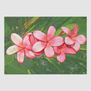 Papel De Seda Plumeria