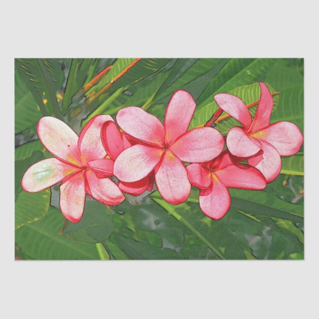 Papel De Seda Plumeria (Anverso)