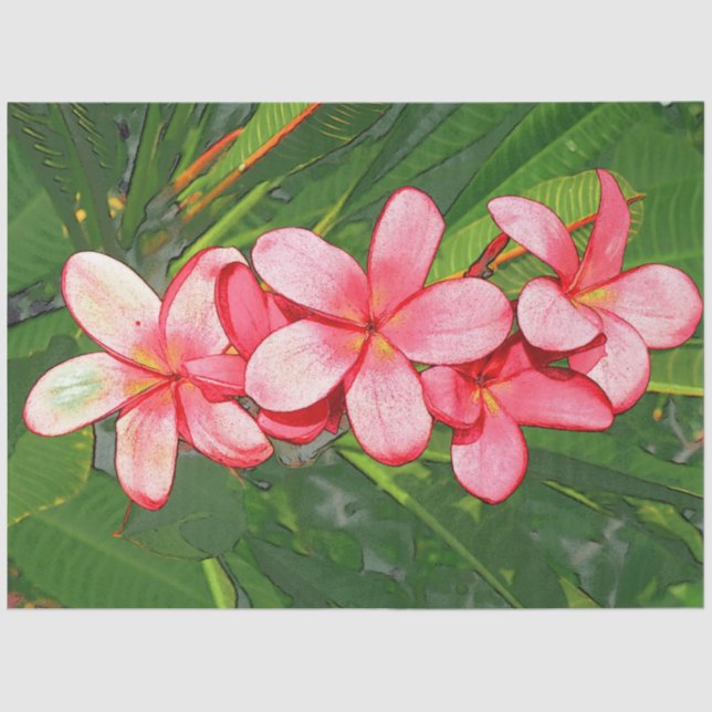 Papel De Seda Plumerias (Anverso)