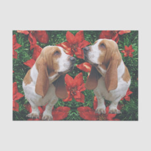 Papel De Seda Poinsettias del navidad de Basset Hound