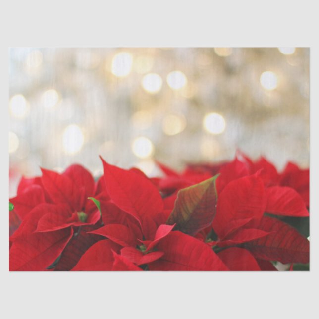 Papel De Seda Poinsettias rojas con brillantes luces doradas (Anverso)