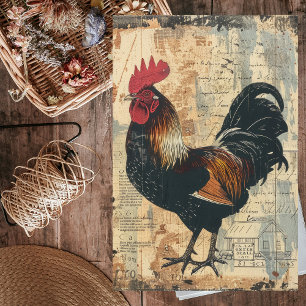 Papel De Seda Polla negra de la granja de pollos de engorde para