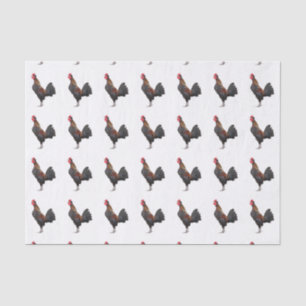 Papel De Seda Pollo en blanco
