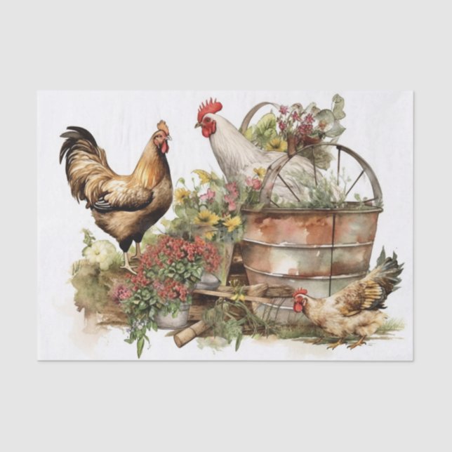 Papel De Seda Pollo fresco de granja (Anverso)