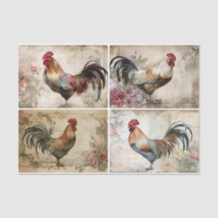 Papel De Seda Pollo, pollo, pollo