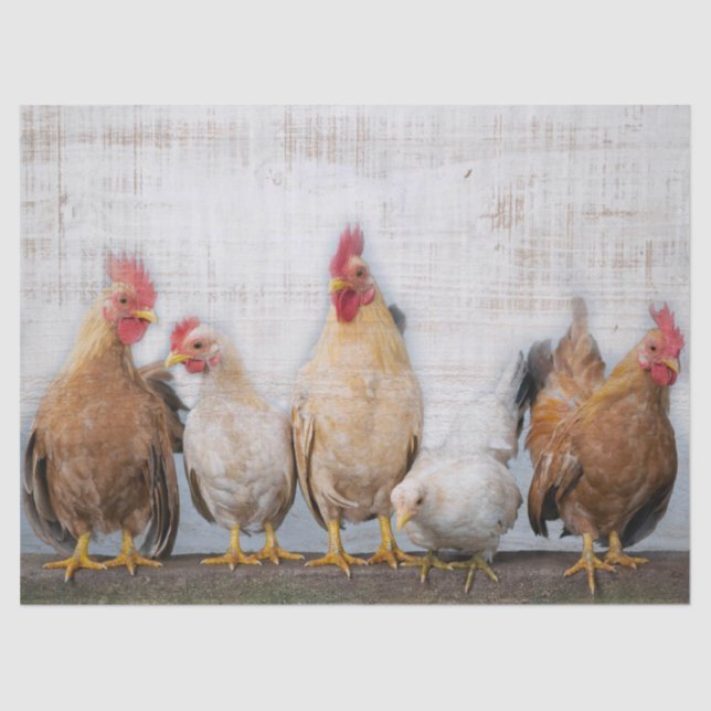 Papel De Seda Pollos (Anverso)