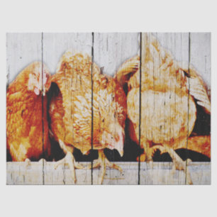 Papel De Seda Pollos