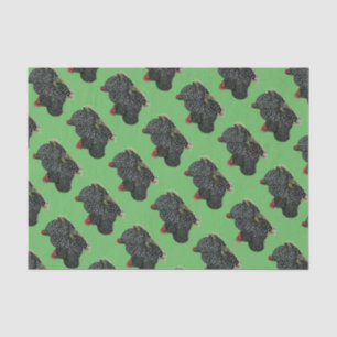 Papel De Seda Pollos con motor Cochin