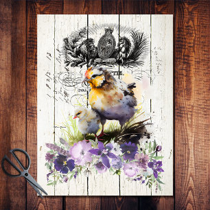 Papel De Seda Pollos Cornish Cross Floral Campo Francés