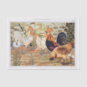 Papel De Seda Pollos franceses de época