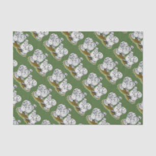 Papel De Seda Pollos pequenos del chapoteo de Silkie