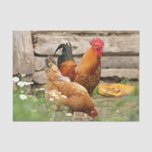 Papel De Seda Pollos y flores blancas