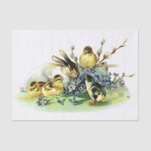 Papel De Seda Polluelos y conejito