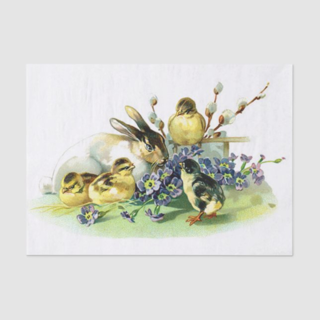 Papel De Seda Polluelos y conejito (Anverso)