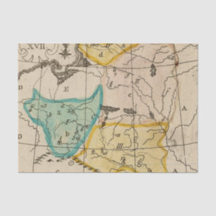 Papel De Seda Polonia 6