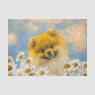 Papel De Seda Pomerania en pintura de Daisies - Arte de perro or