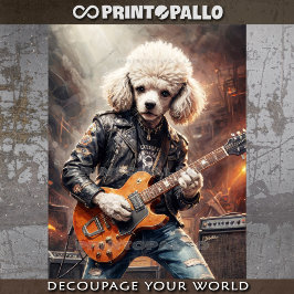 Papel De Seda Poodle rocoso toca la guitarra en el concierto - 