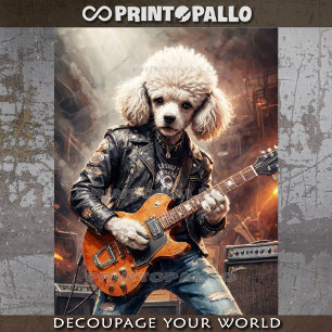 Papel De Seda Poodle rocoso toca la guitarra en el concierto - 