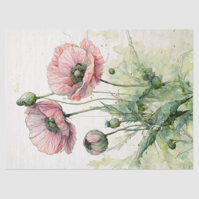 Papel De Seda Poppies rosados, acuarela floral delgada (Anverso)
