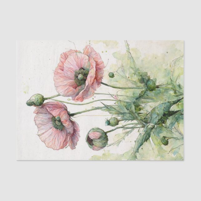Papel De Seda Poppies rosados, acuarela floral delgada (Anverso)