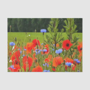 Papel De Seda Poppies Y Cornflores Arte Paisajístico Realista