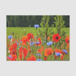 Papel De Seda Poppies Y Cornflowers Arte De Paisaje Realista